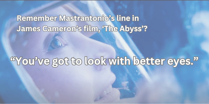 EDI and DEI: Leveling the Playing Field in Different Ways